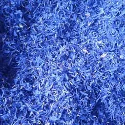 100 г василек синий лепестки сушеные - свежий урожай