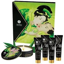 Подарочный набор Shunga Geishas Secrets Organica Exotic Green Tea: для шикарной ночи вдвоем