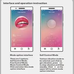 Вагінальні кульки з функцією підключення до смартфону Pretty Love Elvira Phone Baile BI-210212HP 86746 - мініатюра 6