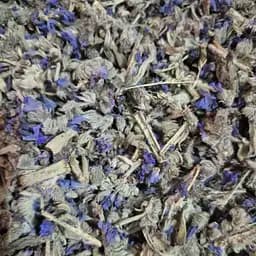 100 г синяк трава сушеная - свежий урожай