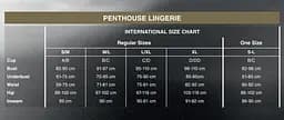 Трусики-стрінги Penthouse Classified Black подвійні резиночки непрозора вставка та бантик M/L - мініатюра 4