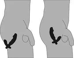 Масажер простати Rebel Cock-shaped vibe Prostata Vibrator Orion 42-05859630000 22740 - мініатюра 2