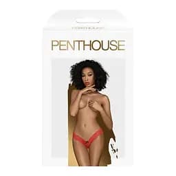 Еротична жіноча білизна Dangerous darling M/L red Penthouse 18-4016955 101776 - мініатюра 2