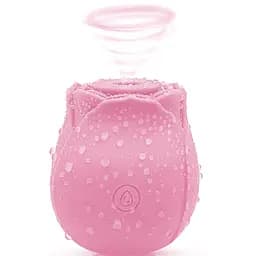 Вібратор Passion Роза вакуумний USB рожевий (4821002029587)