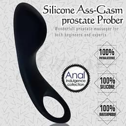 Массажер простаты Ass-Gasm prostate Prober Love Toy 6452LVTOY089 88242 - мініатюра 3