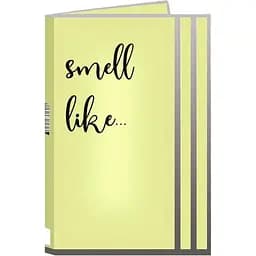 Духи женские с феромонами Aurora Smell Like 08 1 мл