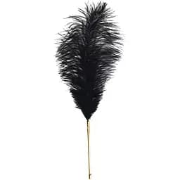 Лоскітка Lockink Sevanda Natural Peacock Flirting FeaTher Tickler, перо павича - мініатюра 3