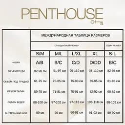 Еротична сукня Penthouse Juicy Poison колір: чорний Розмір s/l - мініатюра 4