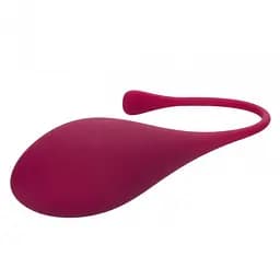 Набір вагінальних кульок California Exotics Kegel Training 5-Piece Set - мініатюра 9