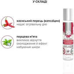 Набір для масажу System JO ALL IN One MASSAGE GIFT SET - мініатюра 4