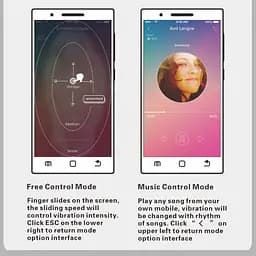 Вагінальні кульки з функцією підключення до смартфону Pretty Love Elvira Phone Baile BI-210212HP 86746 - мініатюра 7