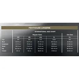 Комплект боді та спідниця Penthouse Best Foreplay Black L/XL - мініатюра 4
