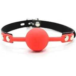 Кляп в рот БДСМ