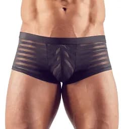 Чоловічі труси Svenjoyment Mens Pants XL чорний - мініатюра 2