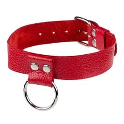 Нашийник Ring of Humiliti Red від sLash - мініатюра 1