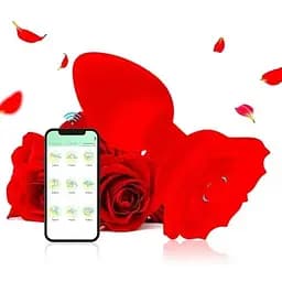 Смарт анальна пробка Smart Rose із силікону 10,5 см K0836-1