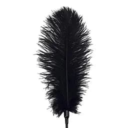 Лоскіт зі страусиним пером Art of Sex - Feather Tickler, колір Чорний - мініатюра 3