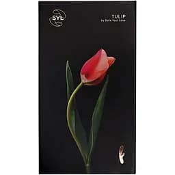 Вібратор-кролик SYL Tulip подвійне задоволення з ефектом підігріву Fog