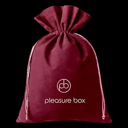 Адвент календар Dreamtoys Sexy Calendar Pleasure Box 2025 - мініатюра 11