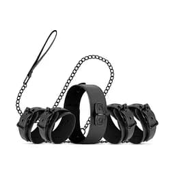 Набор для BDSM Bedroom Fantasies Master & Slave Total Restraint Set