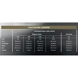 Приталена сорочка-сітка зі стрінгами Penthouse All Yours White M/L - мініатюра 4