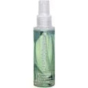 Очищающий спрей Fleshlight FleshWash 100 мл