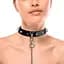 Ошейник с шипами и поводком Art of Sex - Collar Spikes and Leash - миниатюра 1