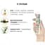 Масажна олія System JO - Naturals Massage Oil - Peppermint & Eucalyptus 120 мл - мініатюра 4