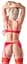 Комплект белья 2220962 Shelf Bra Set red 75 B/S red Cottelli 513222209623231 89862 - мініатюра 3