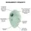 Вакуумний стимулятор Satisfyer Cloud Dancer Mint (SO8973) [108368] - мініатюра 6