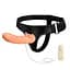Страпон с вибрацией Jessica Strap-on 1 Baile BW-010025B 100482 - миниатюра 1