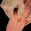 Фалоімітатор Dual-Layered Silicone 10'' Nature Cock 25 см коричневий - мініатюра 10