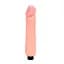 Вибратор BAILE Flexible Real Penis Baile BW-006028R 98512 - миниатюра 1