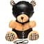 Іграшка плюшевий ведмідь Master Series Hooded Teddy Bear Plush - мініатюра 1
