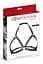 SEXY CHEST HARNESS WITH PICS Fetish Tentation 90-570409 101722 - миниатюра 1