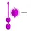 Вагинальные шарики Pretty love Werner USB 12 function PRETTY LOVE BI-014548 99015 - миниатюра 5