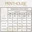 Бодистокинг с чулками GANGSTA BABE черный Penthouse s/l - миниатюра 4