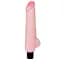 Вібратор BAILE The Realistic Cock Multispeed Vibrations Baile BW-027005 98511 - мініатюра 1