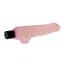 Вібратор BAILE The Realistic Cock Multispeed Vibrations Baile BW-027005 98511 - мініатюра 7