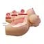 Мастурбатор Crazy Bull Grace Vagina & Anal Masturbator Crazy Bull BM-009263N 103628 - миниатюра 8