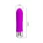 PRETTY LOVE SAMPSON Purple 12 function vibrations PRETTY LOVE BI-014610 101924 - миниатюра 2
