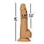 Фалоімітатор ADDICTION Dual Density Silicone Dildo Caramel 8″ ADDICTION SO8243 95382 - мініатюра 3