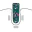 Вибростимулятор Rechargeable Antheia Massager LOVETOYS 66-LV230217 98538 - миниатюра 4