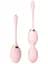 Набор вагинальных шариков Argus Toys Kegel Balls, 2 шт., розовый - миниатюра 1