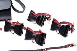 Набір для BDSM Master Series Bow - Luxury BDSM Set With Travel Bag - мініатюра 4