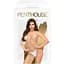 Бодістокінг у велику сітку Penthouse - Body Search White S/L - мініатюра 3