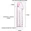 Удлинительная насадка-презерватив Lybaile Male-wear net sleeve, BI - 026200, Розовый - миниатюра 5