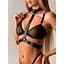 Портупея з нашийником Leather Deluxe One size Чорний K000900 - мініатюра 1