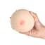 Мастурбатор-грудь Cutie Pies Hannah's Handful - Pussy & Boob, глубина 9.9 см, вибропуля в подарок - миниатюра 5