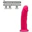 Фалоімітатор SilexD Robby Pink (MODEL 2 Size 6in) - мініатюра 2